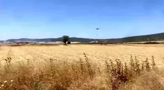 Çanakkale'de Tarım Arazisinde Yangın Kontrol Altına Alındı