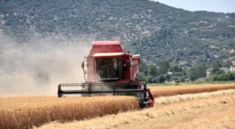 Kuraklık Tarım Üzerinde Olumsuz Etki Yaratıyor