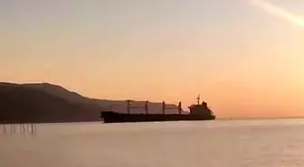Tekirdağ'da Yük Gemisi Kıyıya Oturdu