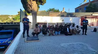 Didim'de Düzensiz Göçmen Operasyonu: 16 Göçmen ve Organizör Yakalandı