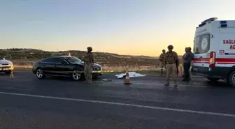 Diyarbakır'da Trafik Kazası: Yaşlı Çift Otomobilin Çarpması Sonucu Yaralandı, Biri Hayatını Kaybetti