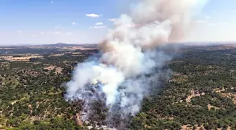 Edirne'de Orman Yangınına Hava ve Karadan Müdahale