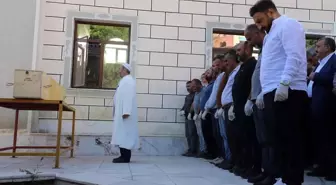 Kene Isırması Sonucu Kırım Kongo Kanamalı Ateşi Sebebiyle Bir Kişi Hayatını Kaybetti