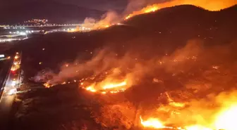 İzmir'de yine orman yangını: Bir kişi gözaltına alındı