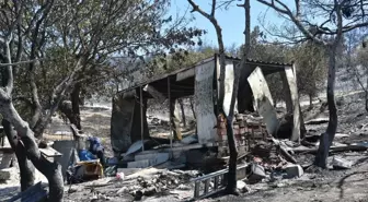 İzmir'de Yangın Felaketi: Ahırdaki Hayvanlar Zor Belayla Kurtarıldı