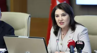 Kamu Denetçiliği Kurumu'nun 2024 Yıllık Raporu Onaylandı