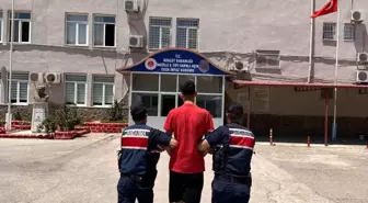 Aydın'da Aranan İki Hükümlü Jandarma Tarafından Yakalandı
