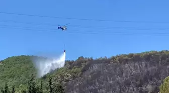 Kocaeli'de Ağaçlık Alanda Yangın Kontrol Altına Alındı