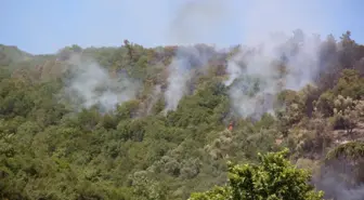 Kocaeli'de Yangın Kontrol Altına Alındı