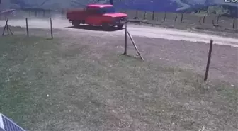 Ordu'da kayıp 2 kişi, yuvarlanan kamyonetin içerisinde ölü bulundu
