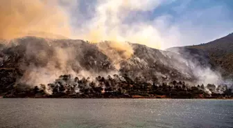 Sakız Adası'nda Orman Yangınları: 1 Kişi Gözaltına Alındı