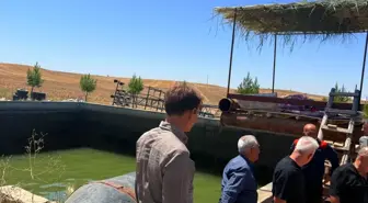 Diyarbakır'da Serinlemek İçin Havuzda Boğulan Genç Hayatını Kaybetti