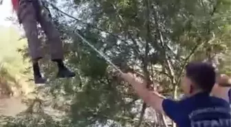 Büyük Menderes Nehri'nde Mahsur Kalan Çiftçi Vinçle Kurtarıldı