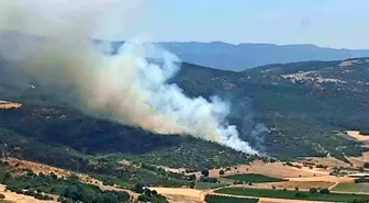 Bursa'da Orman Yangınına Hızlı Müdahale