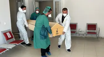 Kene Isırması Nedeniyle Bir Kişi Hayatını Kaybetti