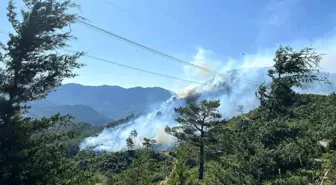 Antalya'daki Orman Yangınlarına Hava ve Kara Müdahalesi