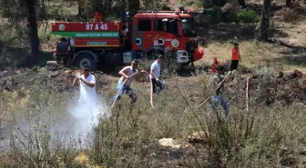Antalya'da 5 Farklı Noktada Orman Yangını Çıktı