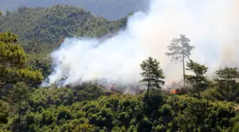 Alanya'da Şiddetli Rüzgar ve Orman Yangınlarıyla Mücadele