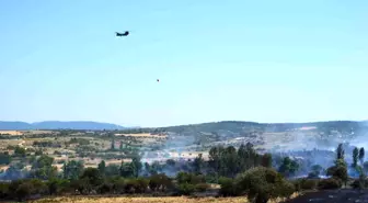 Balıkesir'de Tarım Arazisinde Yangın Çıktı