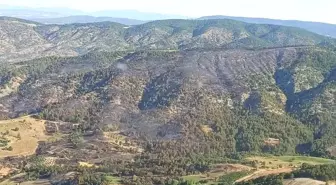 Bilecik'te Orman Yangını Kontrol Altına Alındı