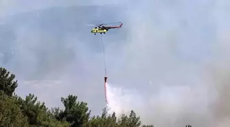 İzmir'de Orman Yangını: Havadan Mücadele Devam Ediyor