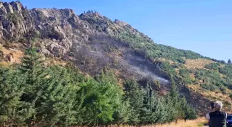 Bucak'ta Orman Yangını Kontrol Altına Alındı