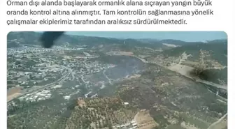 Osmangazi'deki Orman Yangını Kontrol Altına Alındı