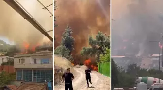 Bursa'da orman yangını! Alevler evlere sıçradı
