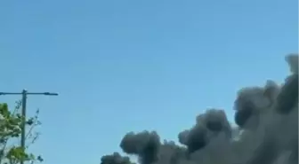 Kocaeli Şehir Hastanesi Yakınındaki Ormanlık Alanda Yangın Çıktı