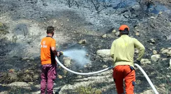 İzmir Aliağa'da Orman Yangını Kontrol Altına Alındı