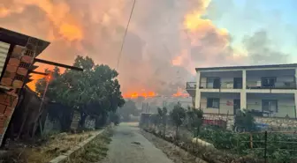 İzmir Aliağa'da Orman Yangını Kontrol Altına Alındı