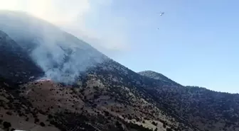 Kahramanmaraş'ta Orman Yangını Kontrol Altına Alındı