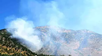 Kahramanmaraş'ta Orman Yangınına Hızla Müdahale Ediliyor