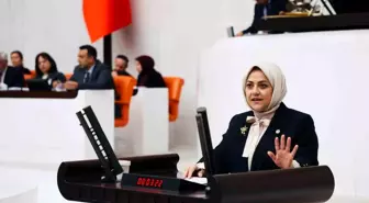 Sema Silkin Ün'den İklim Kanunu'na Sert Eleştiriler