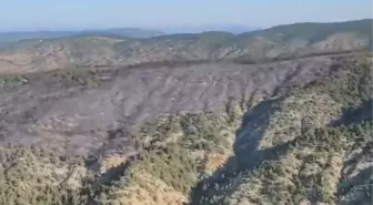 Bilecik Gölpazarı'ndaki Orman Yangını Kontrol Altına Alındı