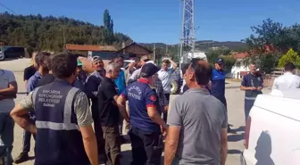 Sakarya'da Orman Yangını: Tahliyeler ve Müdahale Sürüyor