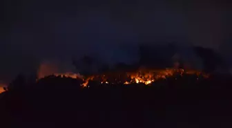 Sakarya'daki Orman Yangını Bilecik'e Ulaştı