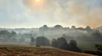 Balıkesir'de Arazi Yangını Kontrol Altına Alındı