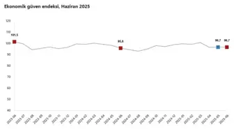 Ekonomik Güven Endeksi Haziran'da Yüzde 0,1 Artış Gösterdi