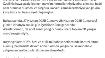Türkiye Genelinde 111 Yangın Çıktı: 106'sı Kontrol Altında