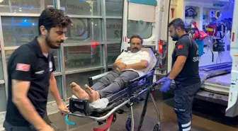 Adıyaman'da Akrep Sokması: Bir Kişi Hastaneye Kaldırıldı