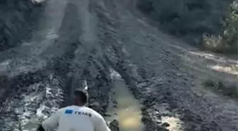 Geyve'de Vatandaşın Yangınla Mücadele Çabası Kameralara Yansıdı