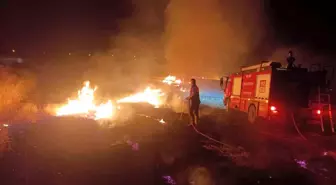 Adıyaman'da Anız Yangını: Ağaçlar ve Kablolar Zarar Gördü