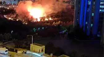 Ankara'da Boş Arazide Yangın: İtfaiye 2 Saatte Söndürdü