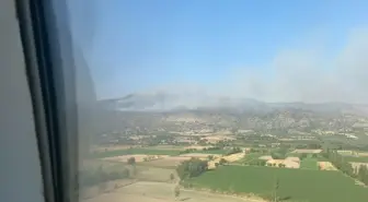 Aydın'da Orman Yangını: Havadan ve Karadan Müdahale Ediliyor