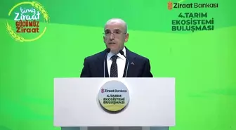 Bakan Şimşek: "Mayıs ayı itibarıyla yıllık enflasyon son 3 buçuk yılın en düşük düzeyine indi"