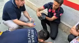 Batman'da Sıkışan Ebabil Kuşları Kurtarıldı