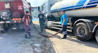 Balıkesir'in Çamköy Mahallesi'nde Orman Yangını