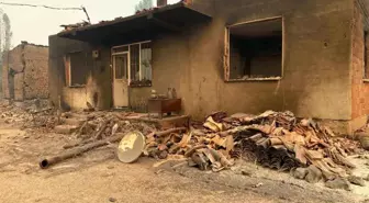 Sakarya'da Orman Yangını Bilecik'e Sıçradı: 13 Ev Yandı