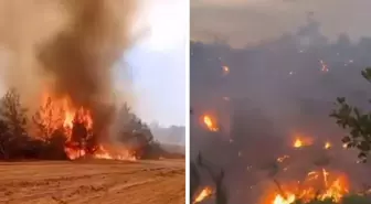 Bilecik'teki yangından yürek burkan görüntüler! Orman alevlere böyle teslim oldu